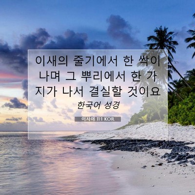 Picture 07 - 이사야 11:1 KOR - 이새의 줄기에서 한 싹이 나며 그 - Bible Verse Picture