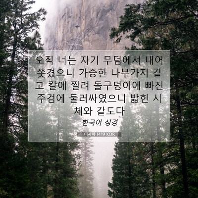 Picture 07 - 이사야 14:19 KOR - 오직 너는 자기 무덤에서 - Bible Verse Picture