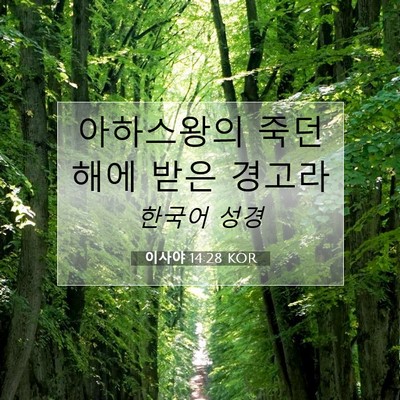 Picture 07 - 이사야 14:28 KOR - 아하스왕의 죽던 해에 받은 - Bible Verse Picture