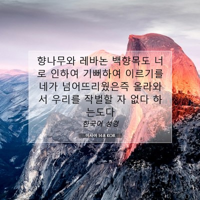 Picture 07 - 이사야 14:8 KOR - 향나무와 레바논 백향목도 너로 - Bible Verse Picture