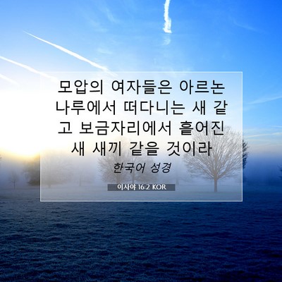Picture 07 - 이사야 16:2 KOR - 모압의 여자들은 아르논 나루에서 - Bible Verse Picture