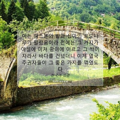 Picture 07 - 이사야 16:8 KOR - 이는 헤스본의 밭과 십마의 - Bible Verse Picture
