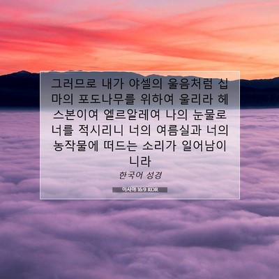 Picture 07 - 이사야 16:9 KOR - 그러므로 내가 야셀의 울음처럼 - Bible Verse Picture