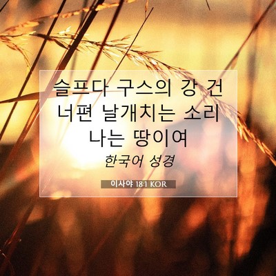 Picture 07 - 이사야 18:1 KOR - 슬프다 구스의 강 건너편 날개치는 - Bible Verse Picture