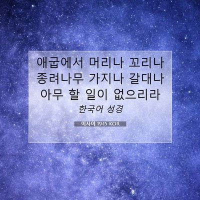 Picture 07 - 이사야 19:15 KOR - 애굽에서 머리나 꼬리나 종려나무 - Bible Verse Picture