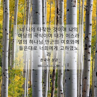 Picture 07 - 이사야 21:10 KOR - 너 나의 타작한 것이여 나의 마당의 - Bible Verse Picture