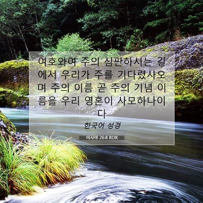 Picture 07 - 이사야 26:8 KOR - 여호와여 주의 심판하시는 길에서 - Bible Verse Picture