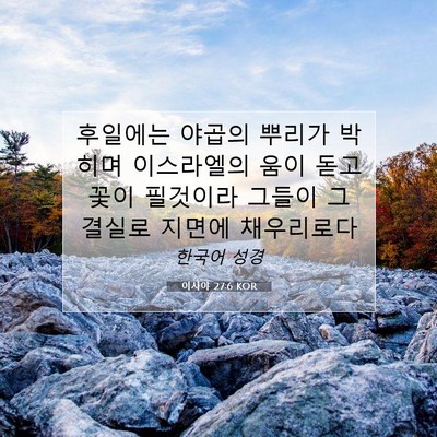 Picture 07 - 이사야 27:6 KOR - 후일에는 야곱의 뿌리가 박히며 - Bible Verse Picture