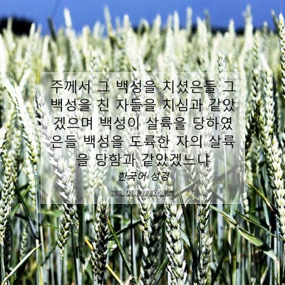 Picture 07 - 이사야 27:7 KOR - 주께서 그 백성을 치셨은들 그 - Bible Verse Picture
