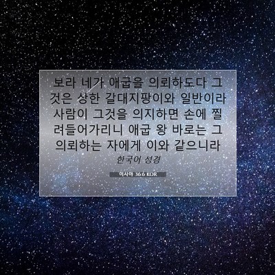 Picture 07 - 이사야 36:6 KOR - 보라 네가 애굽을 의뢰하도다 그것은 - Bible Verse Picture