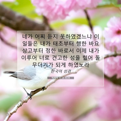 Picture 07 - 이사야 37:26 KOR - 네가 어찌 듣지 못하였겠느냐 이 - Bible Verse Picture