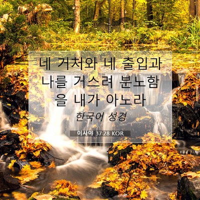 Picture 07 - 이사야 37:28 KOR - 네 거처와 네 출입과 나를 거스려 - Bible Verse Picture