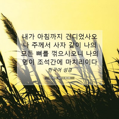 Picture 07 - 이사야 38:13 KOR - 내가 아침까지 견디었사오나 주께서 - Bible Verse Picture