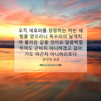 Picture 07 - 이사야 40:31 KOR - 오직 여호와를 앙망하는 자는 새 - Bible Verse Picture