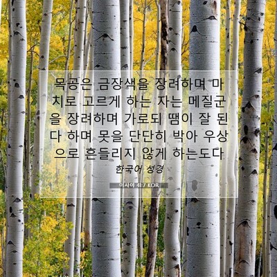 Picture 07 - 이사야 41:7 KOR - 목공은 금장색을 장려하며 마치로 - Bible Verse Picture