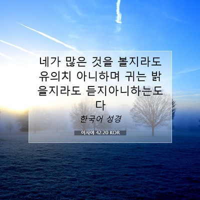 Picture 07 - 이사야 42:20 KOR - 네가 많은 것을 볼지라도 유의치 - Bible Verse Picture