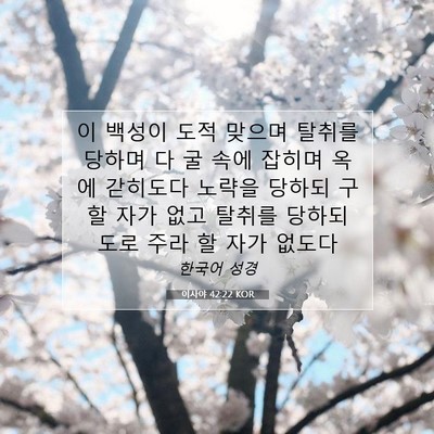 Picture 07 - 이사야 42:22 KOR - 이 백성이 도적 맞으며 탈취를 - Bible Verse Picture