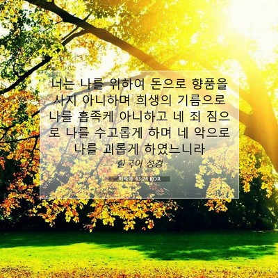 Picture 07 - 이사야 43:24 KOR - 너는 나를 위하여 돈으로 향품을 - Bible Verse Picture