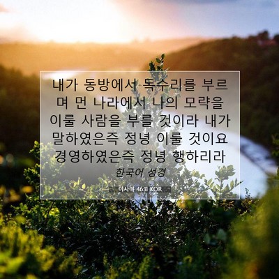 Picture 07 - 이사야 46:11 KOR - 내가 동방에서 독수리를 부르며 먼 - Bible Verse Picture