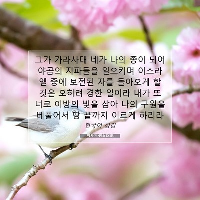 Picture 07 - 이사야 49:6 KOR - 그가 가라사대 네가 나의 종이 되어 - Bible Verse Picture
