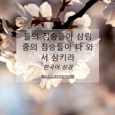 Picture 07 - 이사야 56:9 KOR - 들의 짐승들아 삼림 중의 짐승들아 - Bible Verse Picture