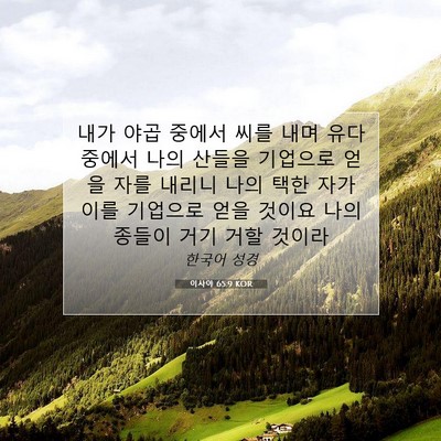 Picture 07 - 이사야 65:9 KOR - 내가 야곱 중에서 씨를 내며 유다 - Bible Verse Picture