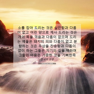 Picture 07 - 이사야 66:3 KOR - 소를 잡아 드리는 것은 살인함과 - Bible Verse Picture