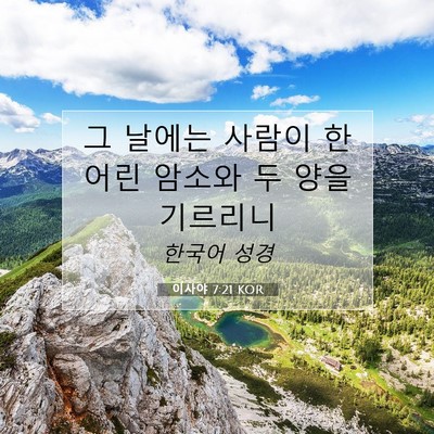Picture 07 - 이사야 7:21 KOR - 그 날에는 사람이 한 어린 암소와 두 - Bible Verse Picture