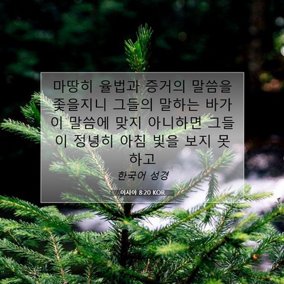 Picture 07 - 이사야 8:20 KOR - 마땅히 율법과 증거의 말씀을 - Bible Verse Picture