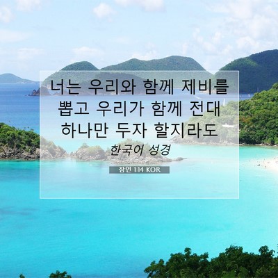 Picture 07 - 잠언 1:14 KOR - 너는 우리와 함께 제비를 뽑고 - Bible Verse Picture