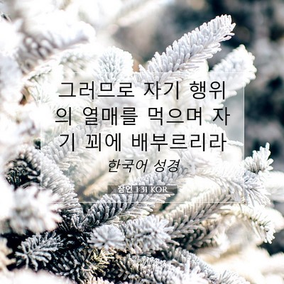Picture 07 - 잠언 1:31 KOR - 그러므로 자기 행위의 열매를 먹으며 - Bible Verse Picture