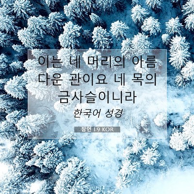 Picture 07 - 잠언 1:9 KOR - 이는 네 머리의 아름다운 관이요 네 - Bible Verse Picture