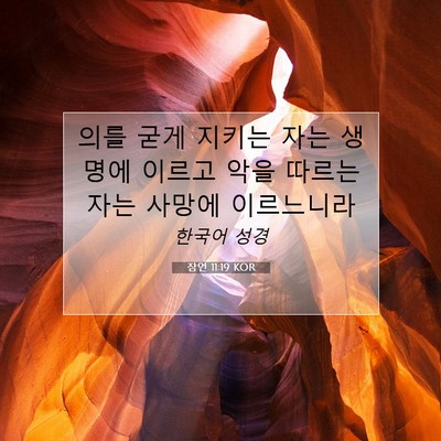 Picture 07 - 잠언 11:19 KOR - 의를 굳게 지키는 자는 생명에 - Bible Verse Picture