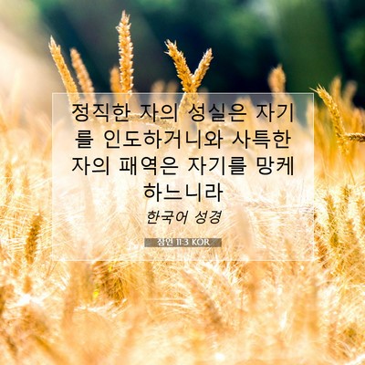 Picture 07 - 잠언 11:3 KOR - 정직한 자의 성실은 자기를 - Bible Verse Picture