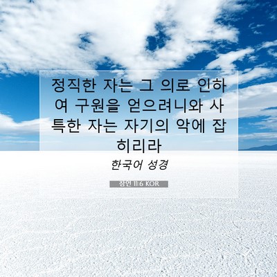 Picture 07 - 잠언 11:6 KOR - 정직한 자는 그 의로 인하여 구원을 - Bible Verse Picture