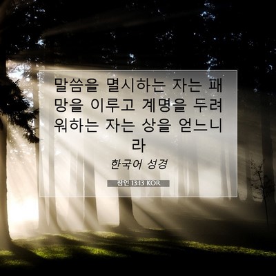Picture 07 - 잠언 13:13 KOR - 말씀을 멸시하는 자는 패망을 이루고 - Bible Verse Picture