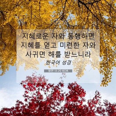 Picture 07 - 잠언 13:20 KOR - 지혜로운 자와 동행하면 지혜를 얻고 - Bible Verse Picture