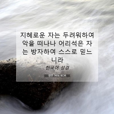 Picture 07 - 잠언 14:16 KOR - 지혜로운 자는 두려워하여 악을 - Bible Verse Picture