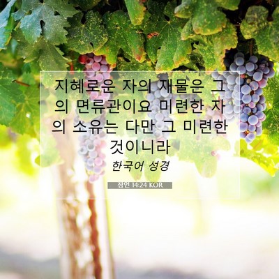 Picture 07 - 잠언 14:24 KOR - 지혜로운 자의 재물은 그의 - Bible Verse Picture