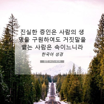 Picture 07 - 잠언 14:25 KOR - 진실한 증인은 사람의 생명을 - Bible Verse Picture