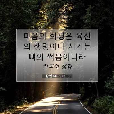 Picture 07 - 잠언 14:30 KOR - 마음의 화평은 육신의 생명이나 - Bible Verse Picture