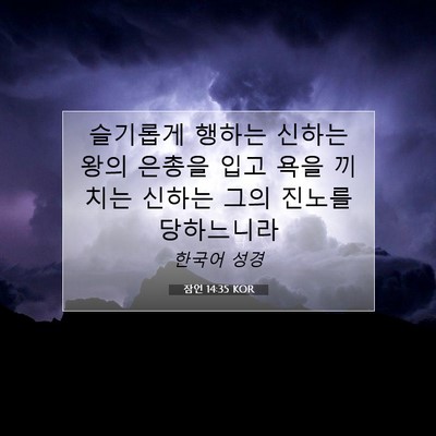Picture 07 - 잠언 14:35 KOR - 슬기롭게 행하는 신하는 왕의 은총을 - Bible Verse Picture