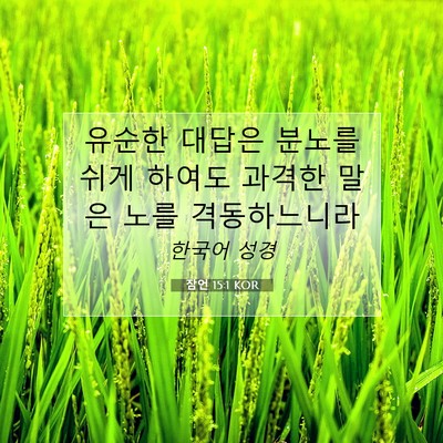 Picture 07 - 잠언 15:1 KOR - 유순한 대답은 분노를 쉬게 하여도 - Bible Verse Picture