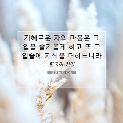 Picture 07 - 잠언 16:23 KOR - 지혜로운 자의 마음은 그 입을 - Bible Verse Picture