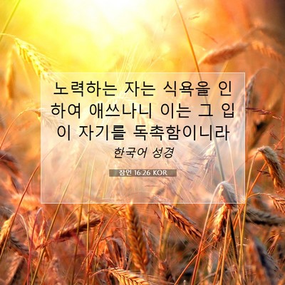 Picture 07 - 잠언 16:26 KOR - 노력하는 자는 식욕을 인하여 - Bible Verse Picture