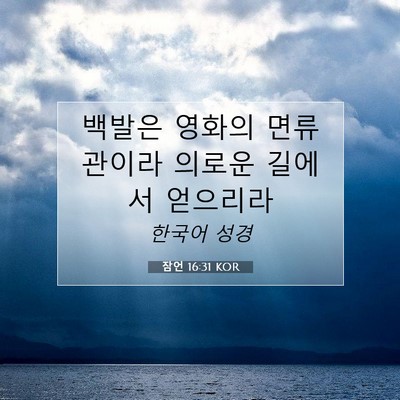 Picture 07 - 잠언 16:31 KOR - 백발은 영화의 면류관이라 의로운 - Bible Verse Picture