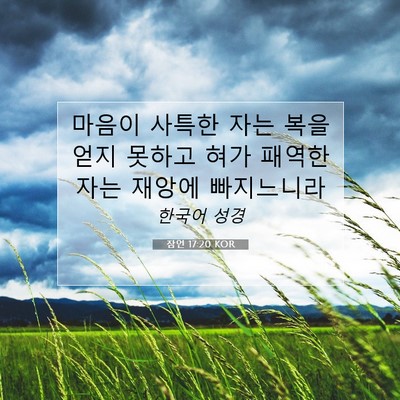 Picture 07 - 잠언 17:20 KOR - 마음이 사특한 자는 복을 얻지 - Bible Verse Picture