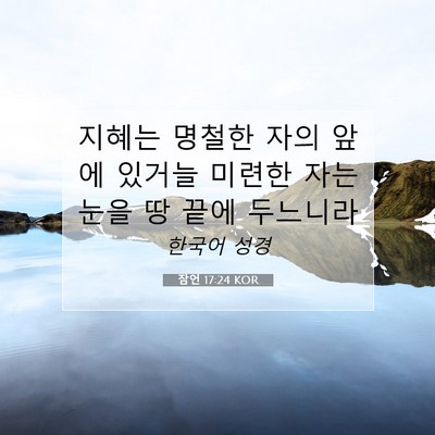 Picture 07 - 잠언 17:24 KOR - 지혜는 명철한 자의 앞에 있거늘 - Bible Verse Picture