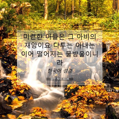 Picture 07 - 잠언 19:13 KOR - 미련한 아들은 그 아비의 재앙이요 - Bible Verse Picture