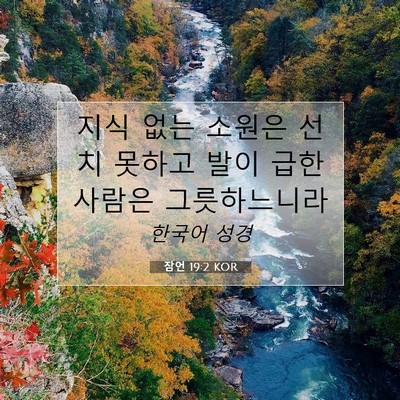 Picture 07 - 잠언 19:2 KOR - 지식 없는 소원은 선치 못하고 발이 - Bible Verse Picture